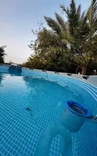 استخر اینتکس