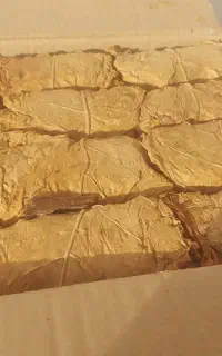 برگ زرد