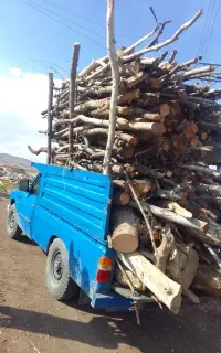 خریدو فروش چوب