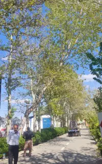 باغبان استخدام باغبان در یک شرکت معتبر