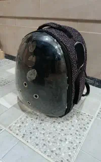 کیف حیوانات