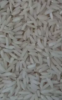 علی کاظمی درجه یک