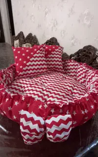 تشک سگ و گربه