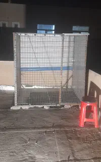 کفتر باخت رفته