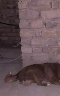 فروشی قیمت مناسب