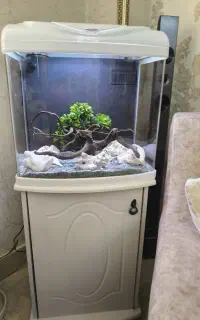 آکواریوم