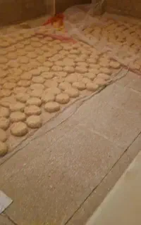 ترخینه