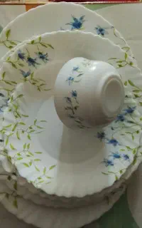 آرکوپال امارات