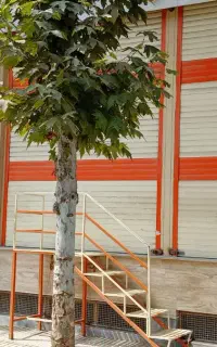 اجاره مغازه 100متری