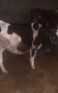 ۱۶۵۰۰۰