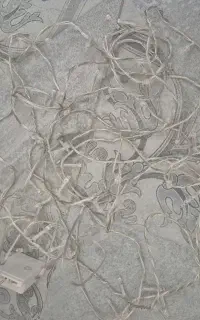 چراغ تزئینی