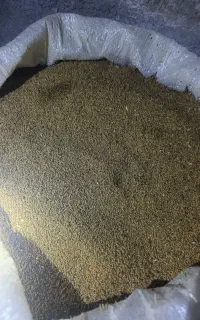 بذر یونجه