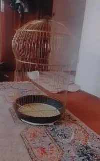 قفس بزرگ