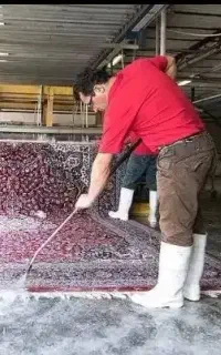 خدمات نظافت