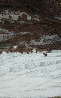 پرده