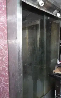 یک عدد جوجه گردون سالم در حد نو