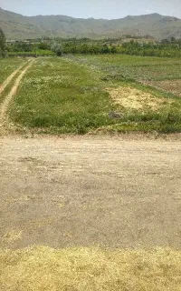 اسب