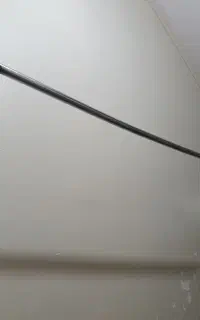 رگال