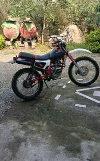 اکسلxl200