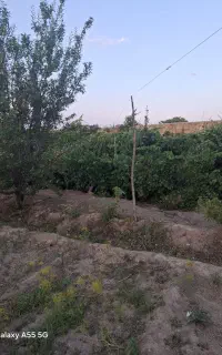 باغ با استخر و درختان مثمر