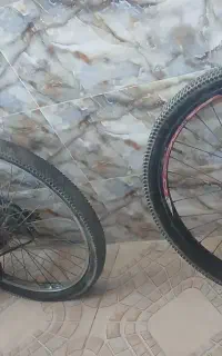 دوچرخه