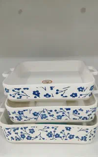 ظروف سرامیکی