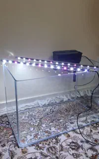 آکواریوم شیشه خم