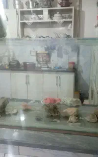 اکواریوم