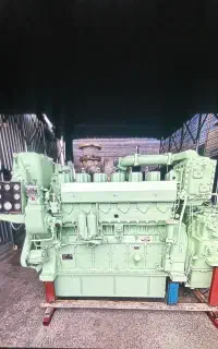 موتور‌N160 یانمار تازه گرایین با برگ سبز آماده