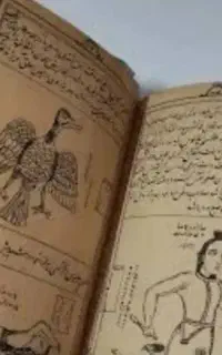 فال
