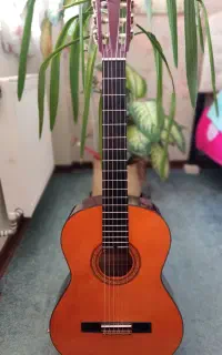 گیتار آریا ak20 اصل ژاپن