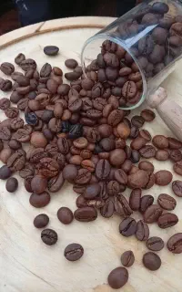 قهوه