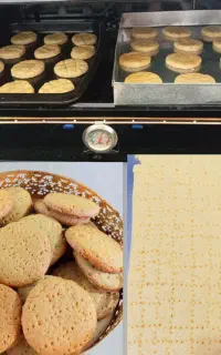 آموزش مجازی زنجبیلی