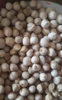 نخود محلی به شرط