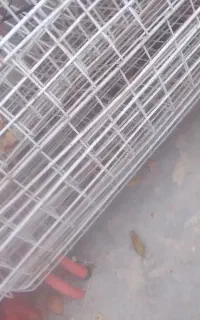 استند