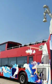 گشت دور جزیره همراه لیدر بومی