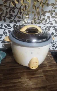 پلو پز برقی در حد نو کم کار کرد