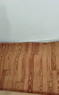 موکت در حدنو