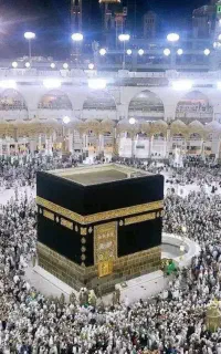 فروش فیش خرید فیش تمتع و عمره فارس مکه واجب