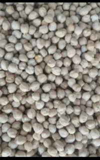 نخود دارم برای فروش ۱۸۰ کیلو