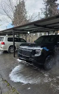 نیروی کار کارواش