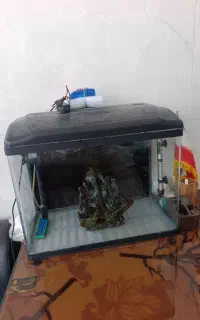 اکواریوم