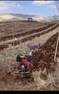 شخم زدن باغ و باغچه با تیلر