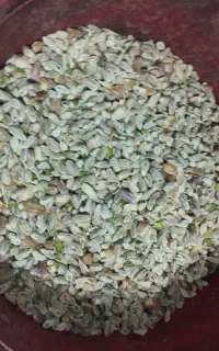 خریدمغز‌و‌پسته