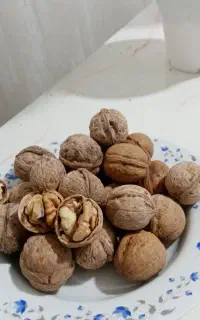 گردوی تویسرکان