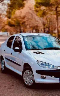 خاص و مرتب جمع‌شده با وسواس ۲۰۶ sd v8