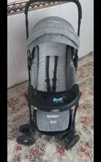 کالسکه دلیجان تاشو سالم