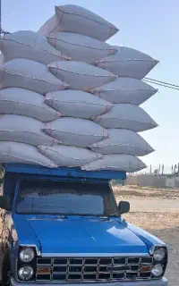 کاه درجه یک تحویلی