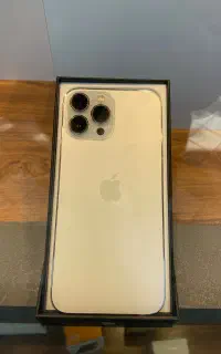 13 pro