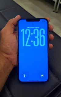 iphone 12 promax